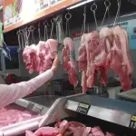 carne bovina brasileira china