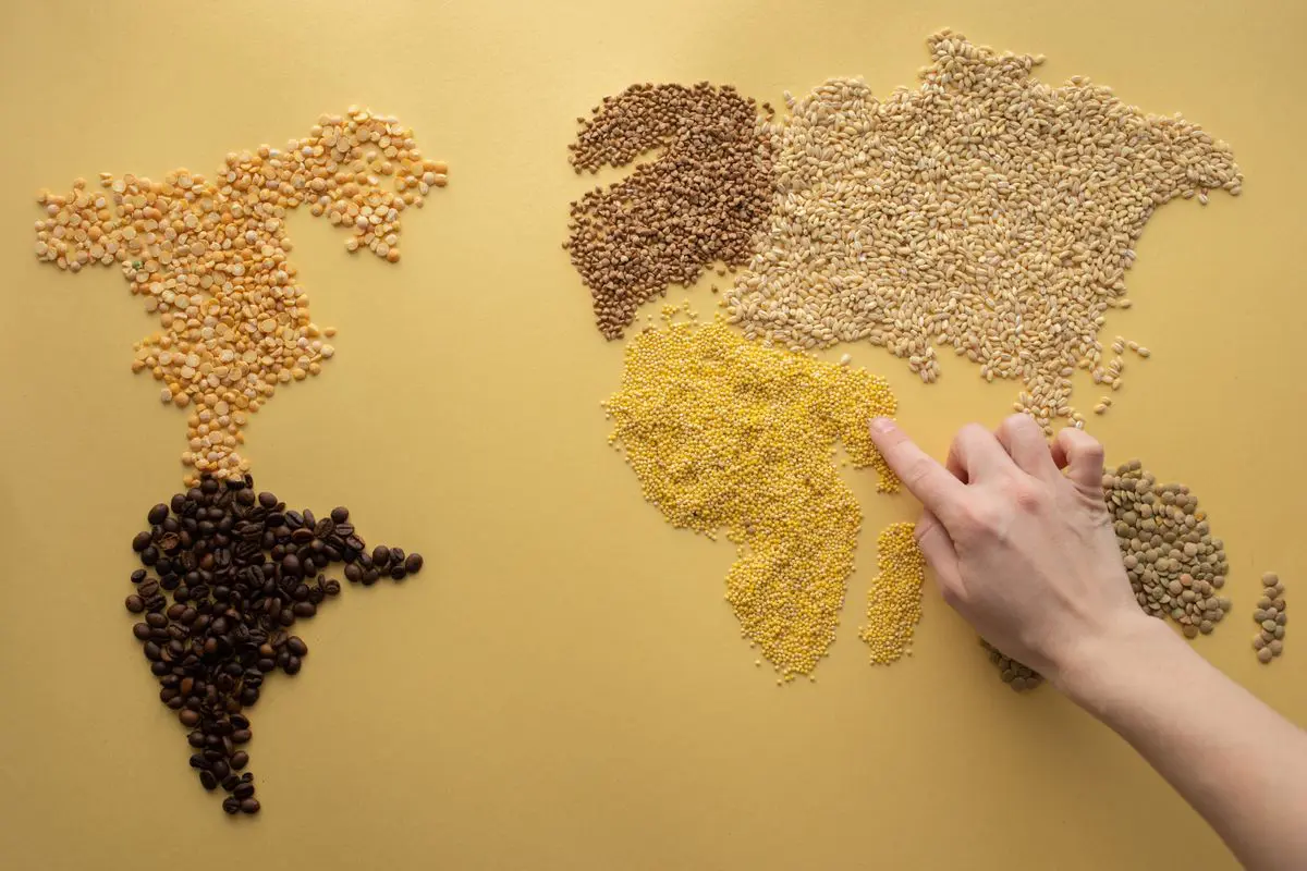 Vista superior de grãos e sementes de diferentes tipos organizados sobre uma superfície amarela para formar o desenho do mapa-múndi, com uma mão apontando para a região da África.