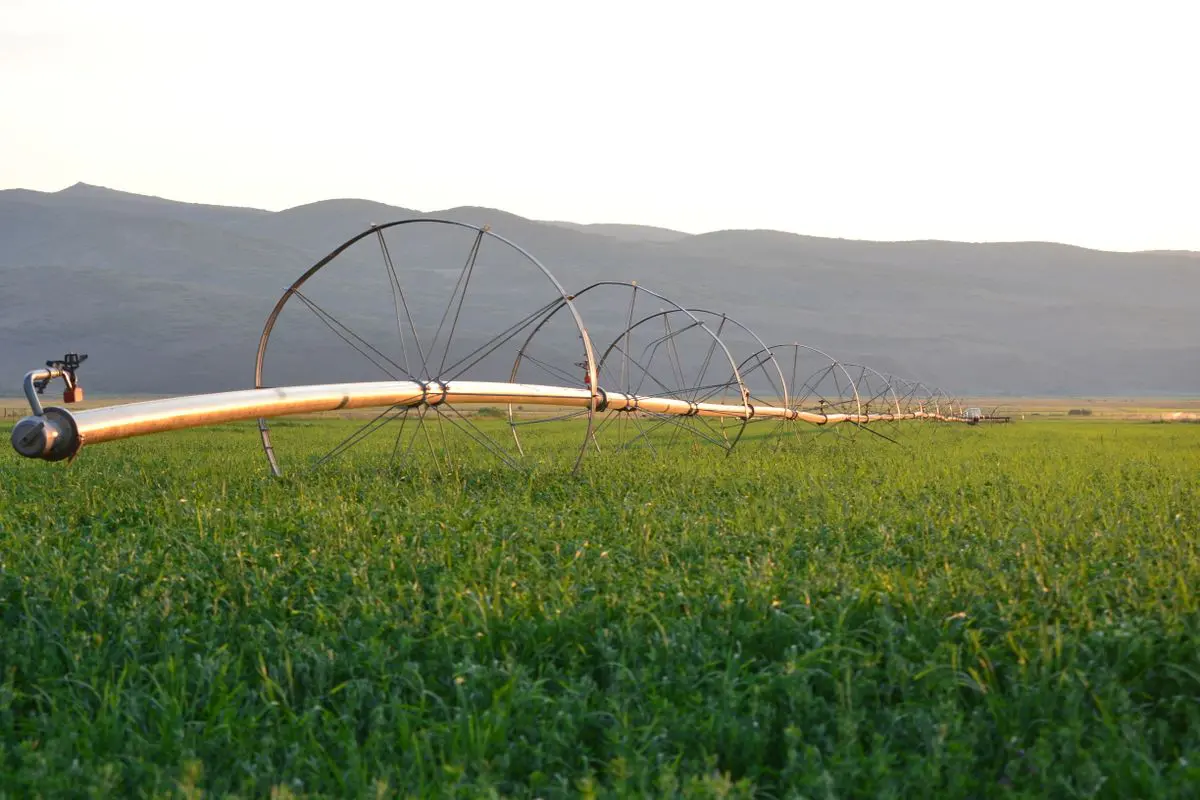 Vista em perspectiva diagonal de um sistema de irrigação por aspersão com tubulação metálica sustentada por grandes rodas de metal sobre uma plantação verdejante, com montanhas ao fundo sob o céu claro.