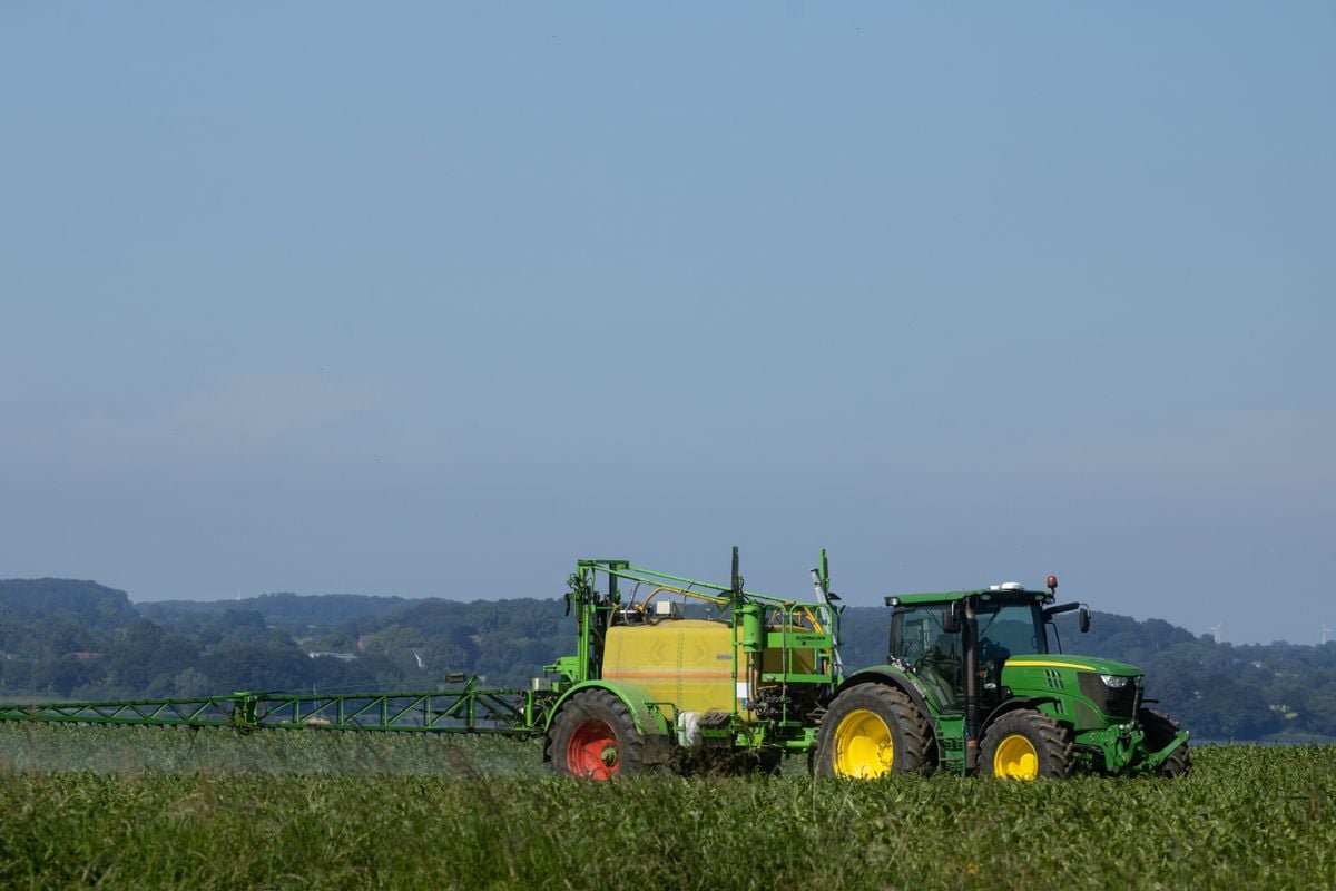 Regularização fundiária é desafio para produtores rurais no Brasil
