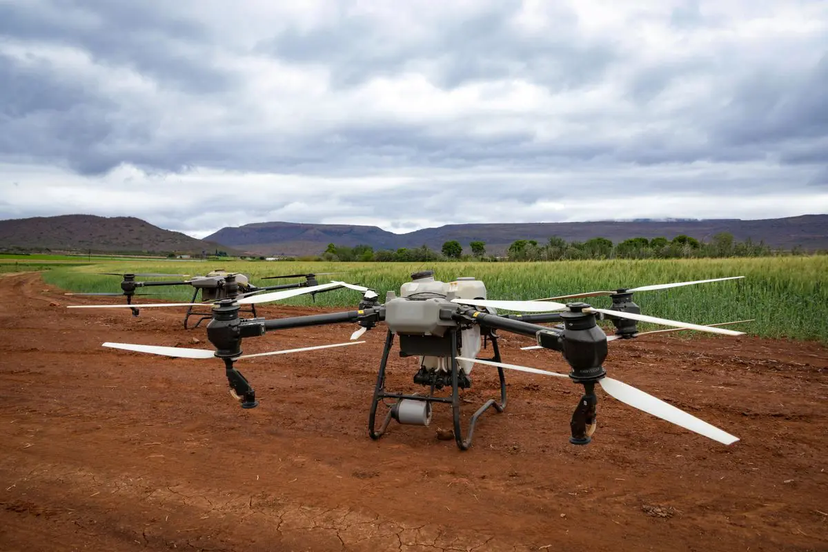 Plano médio de três grandes drones agrícolas de pulverização posicionados em uma estrada de terra marrom ao lado de um campo verde sob um céu nublado.
