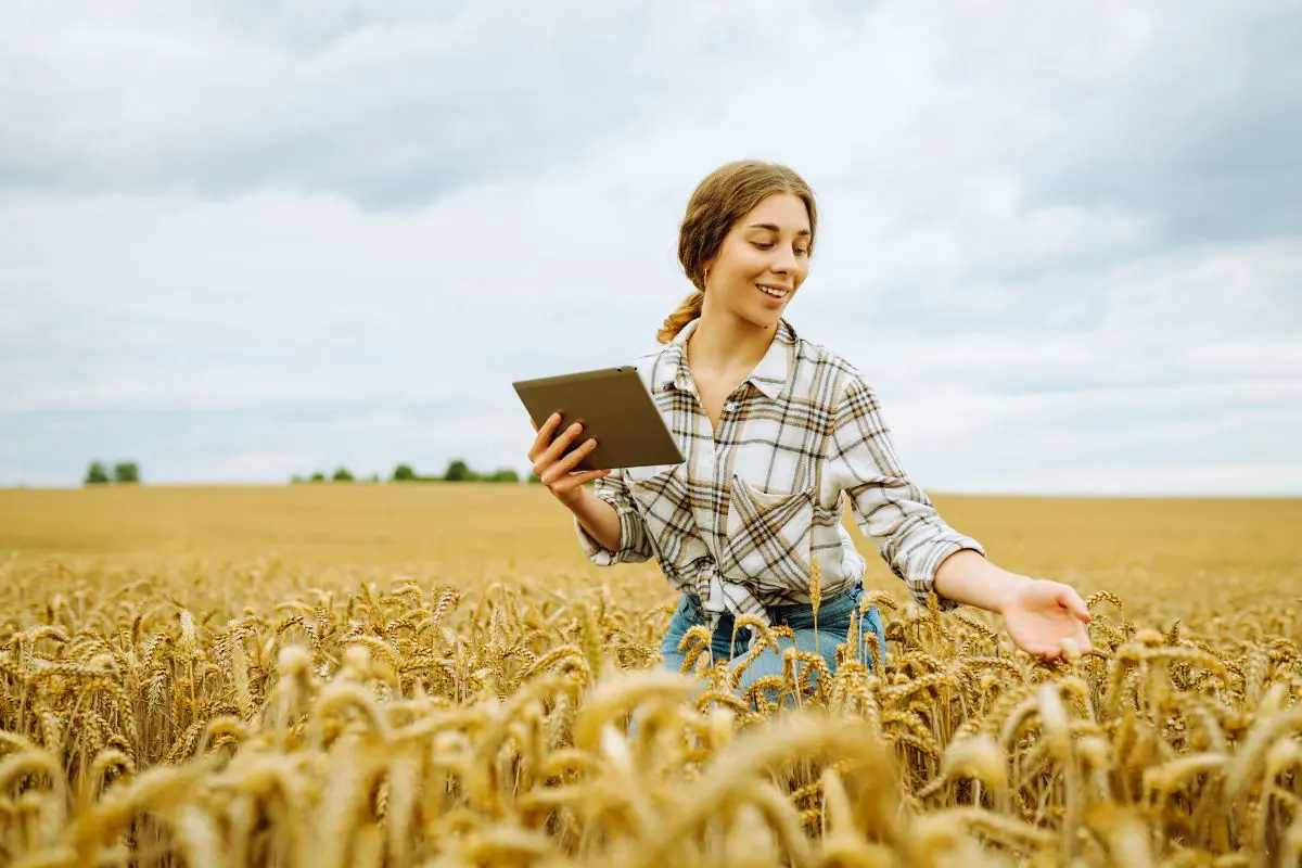 Uma jovem de camisa xadrez em pé no meio de um campo de trigo dourado, sorrindo enquanto segura um tablet em uma das mãos e toca as espigas com a outra sob um céu nublado.