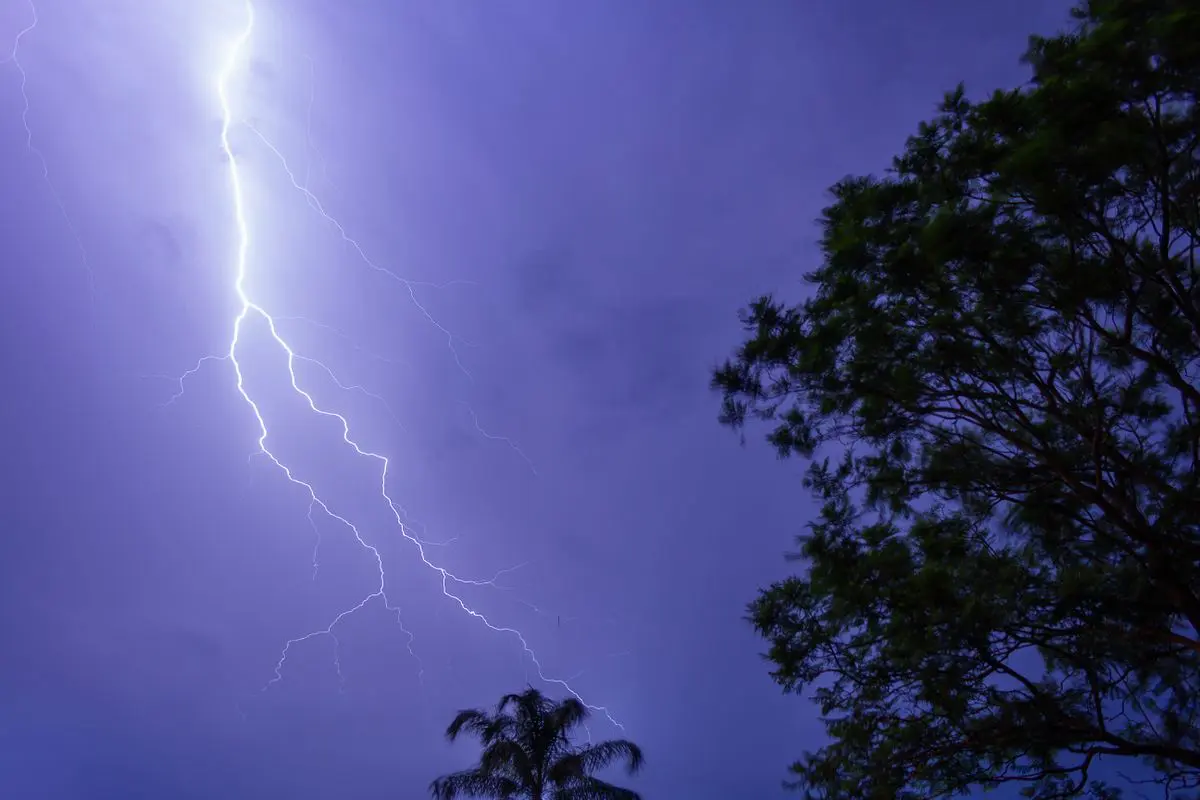 Um raio luminoso e ramificado cortando verticalmente o céu noturno e tempestuoso de cor roxa, ladeado pelas silhuetas escuras das copas de árvores.