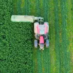 Vista aérea zenital de um grande trator vermelho acoplado a uma segadora verde cortando uma plantação de forragem intensamente verdejante.