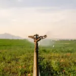 Close frontal de um aspersor de irrigação metálico em funcionamento, aspergindo gotas de água sobre uma plantação verde sob um céu claro ao entardecer.
