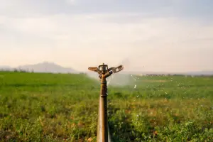Close frontal de um aspersor de irrigação metálico em funcionamento, aspergindo gotas de água sobre uma plantação verde sob um céu claro ao entardecer.