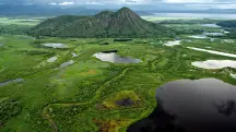 Em 2020, o Pantanal registrou cerca de 22 mil focos de calor, praticamente o mesmo total dos quatro anos anteriores somados | Foto: Divulgação/Pantanal Oficial